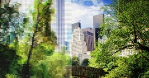 Implicações de Decisões Internacionais: O Impacto da Destruição de Alimentos Ajudantes