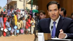 A Nova Melodia do Rap: Shindy e a Busca por um Futuro Melhor