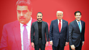 Em Abu Dhabi: O Futuro das Criptomoedas e Oportunidades para Brasileiros