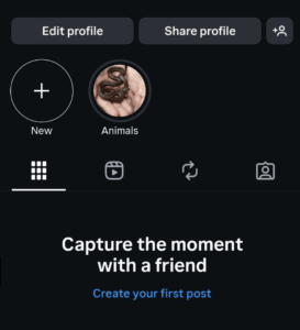 Problemas no Instagram: O que está acontecendo e como isso afeta brasileiros em Dubai